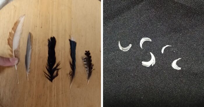 Hey Pandas, Show Me A Picture Of A Collection You Have (Closed)