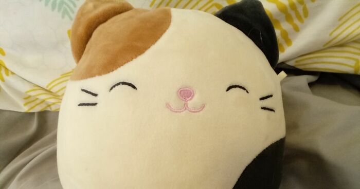 Hey Pandas, Who Has The Most Squishmellows? (Closed)