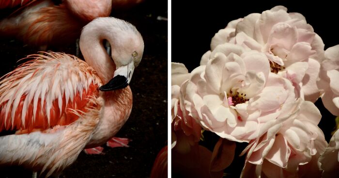 Here Are Photographs I’ve Taken Over The Years