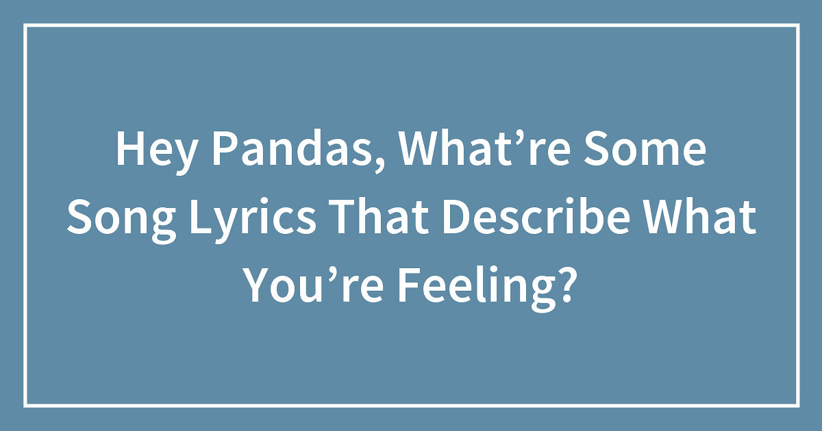 Hey Pandas, What’re Some Song Lyrics That Describe What You’re Feeling ...