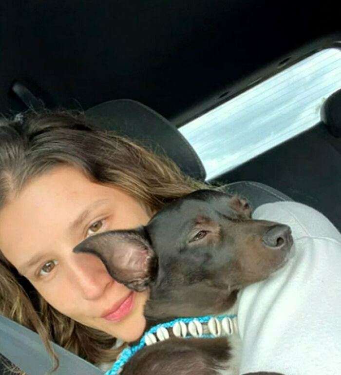Woman Shares Anguish Over Delta Airlines Losing Her Beloved Pooch In Atlanta Airport Woman Shares Anguish Over Delta Airlines Losing Her Beloved Pooch In Atlanta Airport