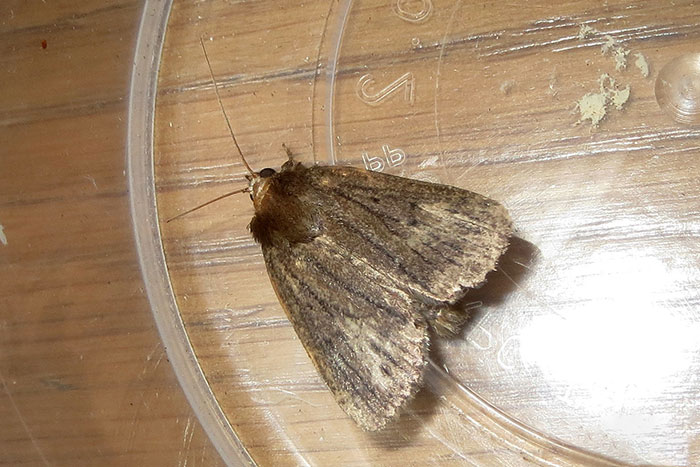 Woman Finds All Her Clothes Ruined, Regrets Not Listening To "Germaphobe" Roommate Woman Finds All Her Clothes Ruined, Regrets Not Listening To "Germaphobe" Roommate