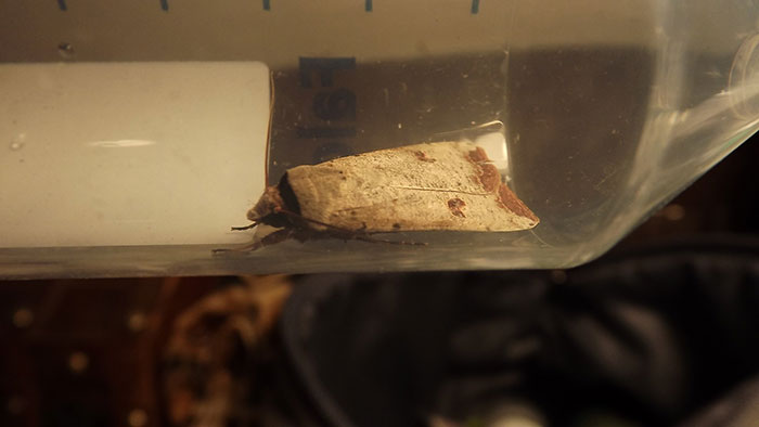 Woman Finds All Her Clothes Ruined, Regrets Not Listening To "Germaphobe" Roommate Woman Finds All Her Clothes Ruined, Regrets Not Listening To "Germaphobe" Roommate