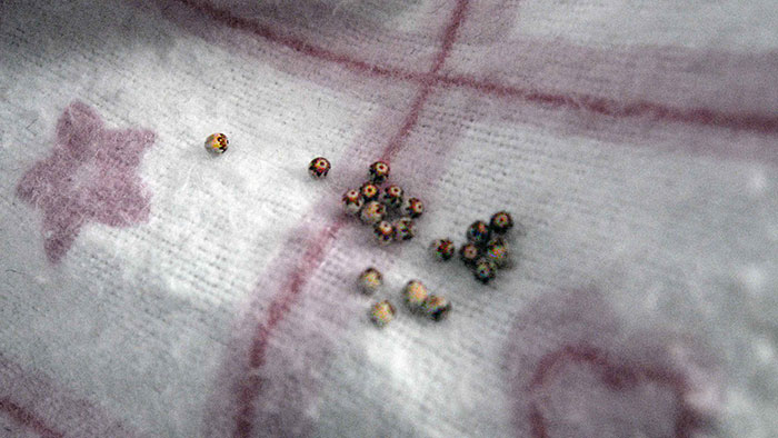 Woman Finds All Her Clothes Ruined, Regrets Not Listening To "Germaphobe" Roommate Woman Finds All Her Clothes Ruined, Regrets Not Listening To "Germaphobe" Roommate