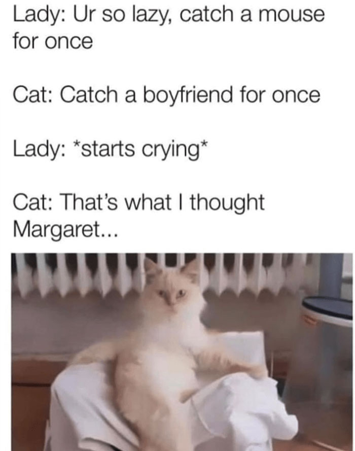 Funny-Adorable-Cat-Memes-Happycat318