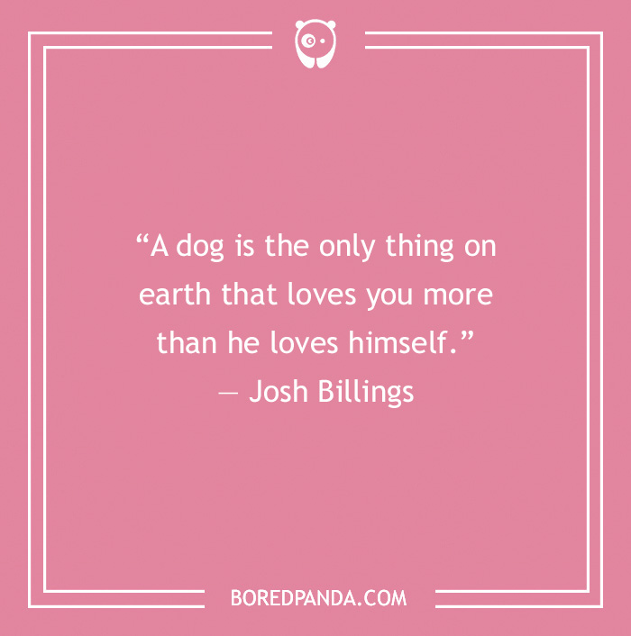 Josh Billing's quote on dog love for humans
