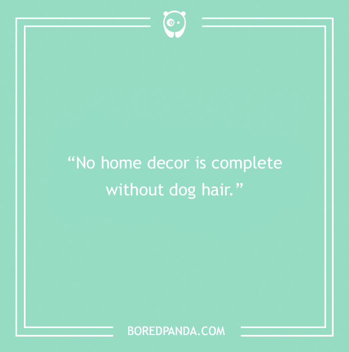Funny quote about dog hair at home