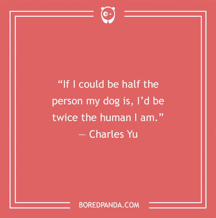 Charles Yu's quote on the kindness of a dog