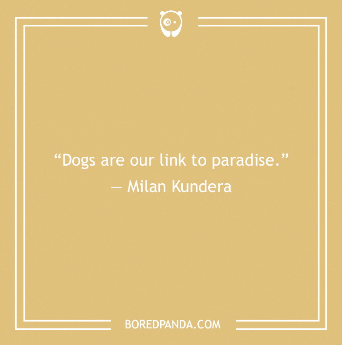 Milan Kundera's quote on dogs