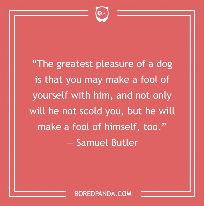 Samuel Butler's quote on a dog as the best friend