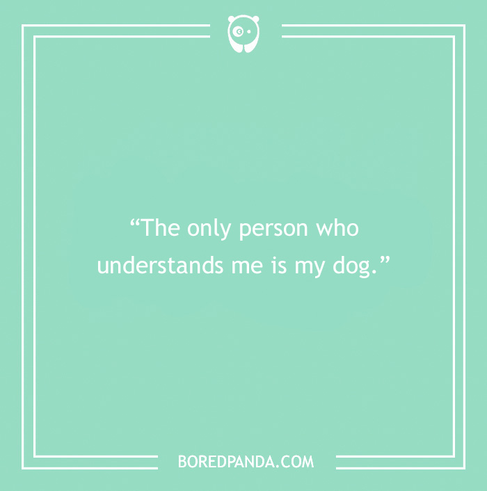 Quote about dog being as a person