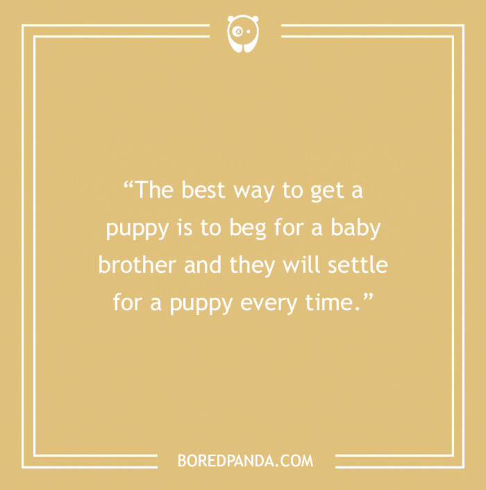 Quote about getting a puppy