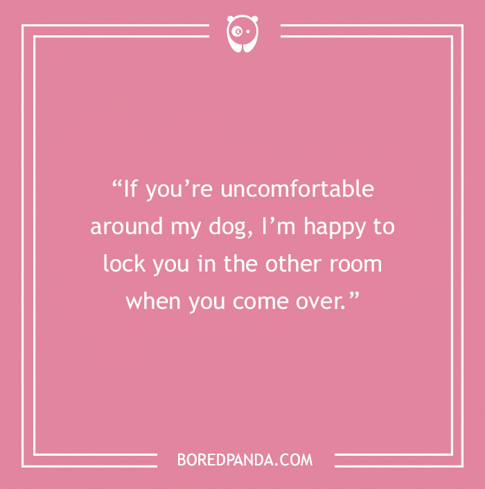 Funny quote about being with dog
