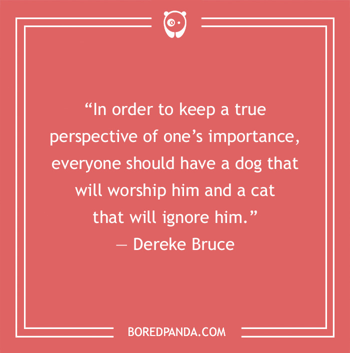 Dereke Bruce's quote on difference between dog and cat