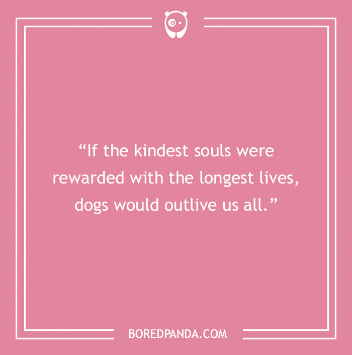 Quote about the kindness of a dog