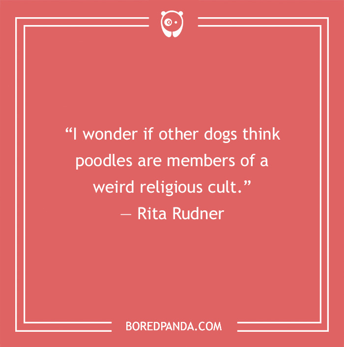 Rita Rudner's quote on what other dogs think about poodles