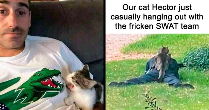 ‘Kitty Litterposting’: 50 Funny Posts And Memes About Cats You May Wish You Could Tag Your Cat In (New Pics)
