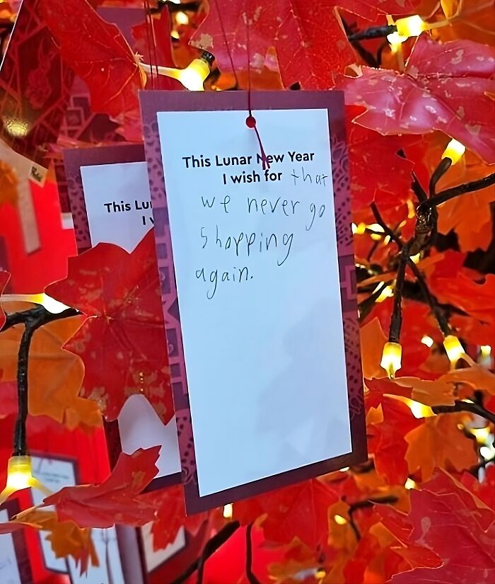 A Kid's Wish On A Mall's Lunar New Year Wishing Tree