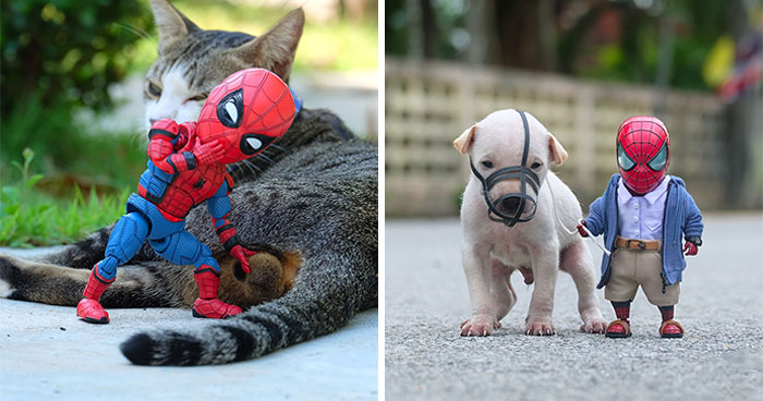 The Adventures Of Baby Spidey And His Cute Animal Pals: 30 New Photos By This Artist