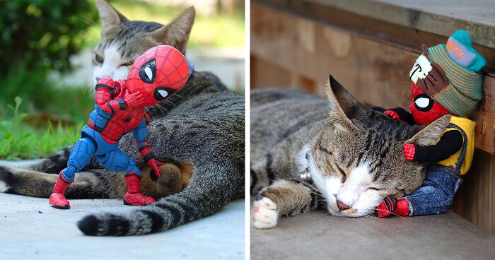 The Adventures Of Baby Spidey And His Cute Animal Pals: 30 New Photos By This Artist