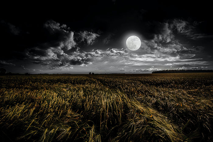 Full moon at the night with field
