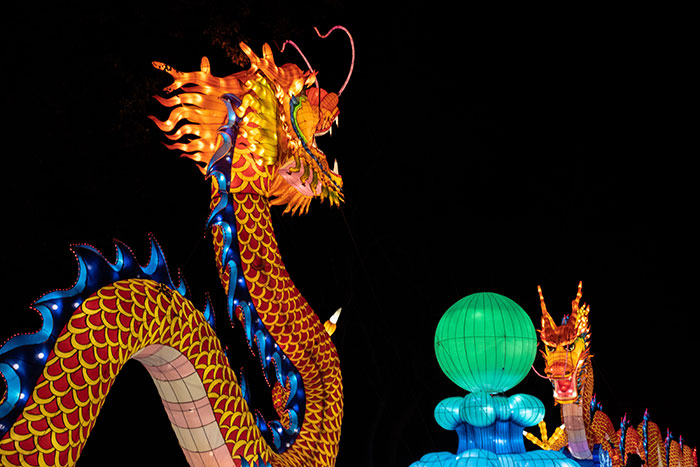Dragon shaped lanterns