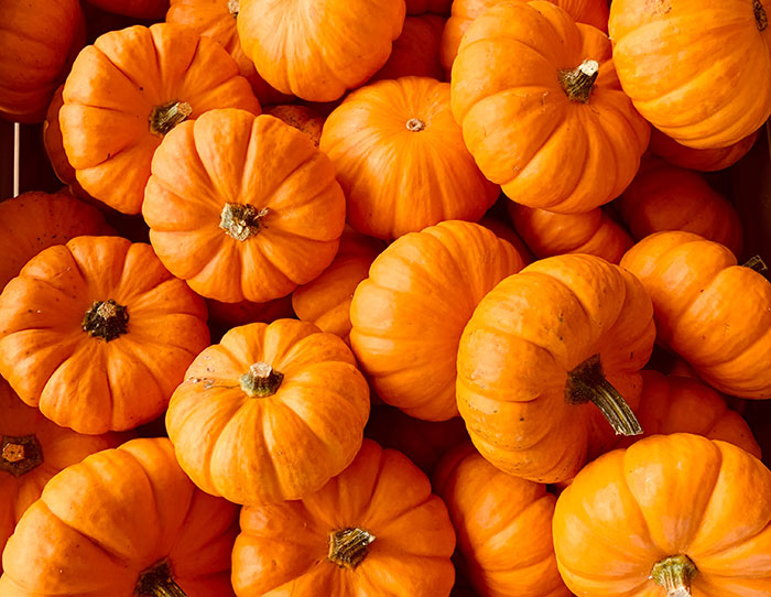 Orange pumpkins