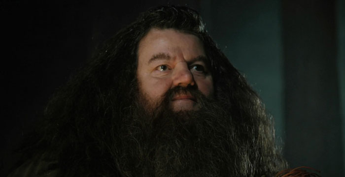 Rubeus Hagrid staring