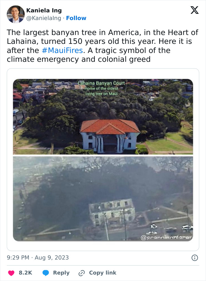 Maui Is Devastated After 'Apocalyptic' Wildfire Hits Hawaii (Updated) Maui Is Devastated After 'Apocalyptic' Wildfire Hits Hawaii (Updated)