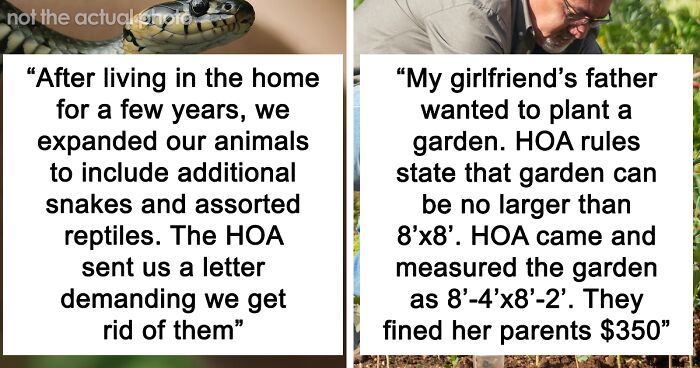 “Every Car Parked There Got Towed”: 55 HOA Horror Stories