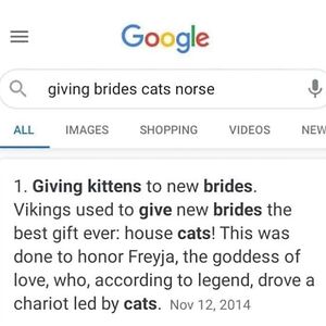 sophiafigueroa avatar