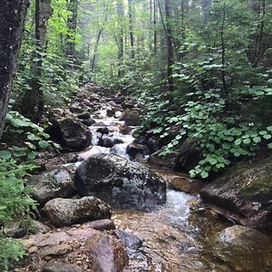 olwendavis2012 avatar