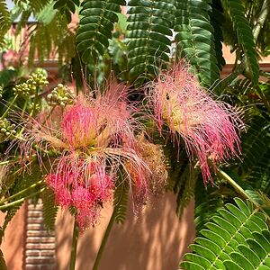 heidi_watson_trant avatar