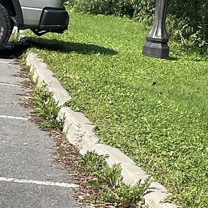 davefitzgerald_2 avatar