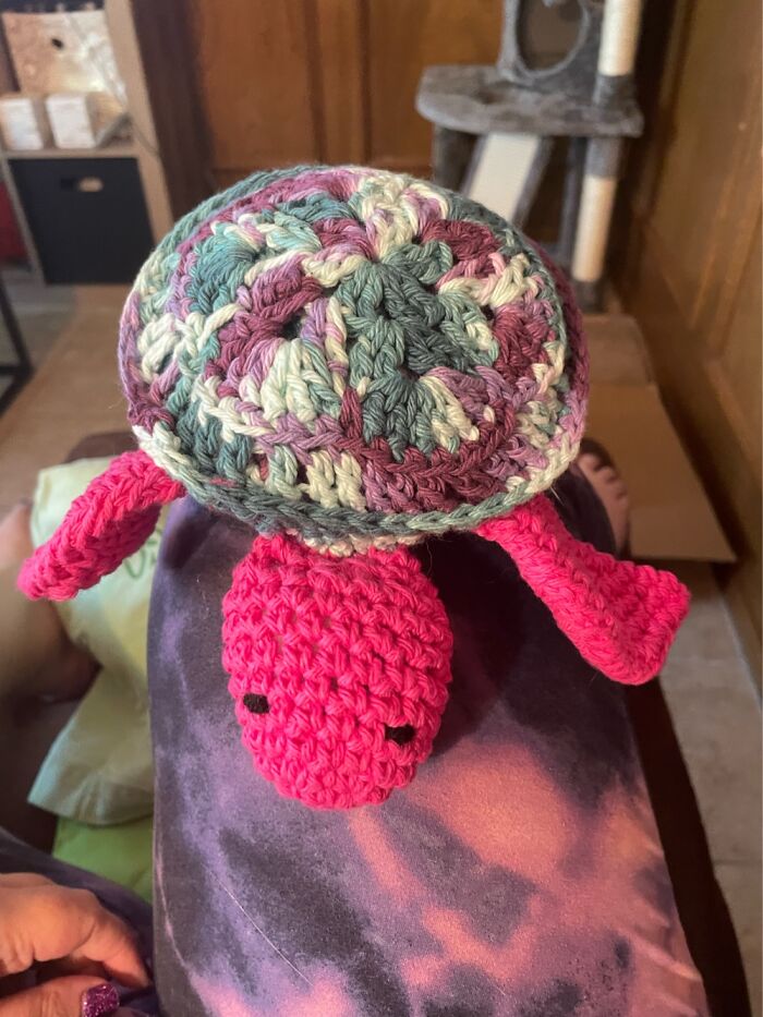 Turtle For A Friend