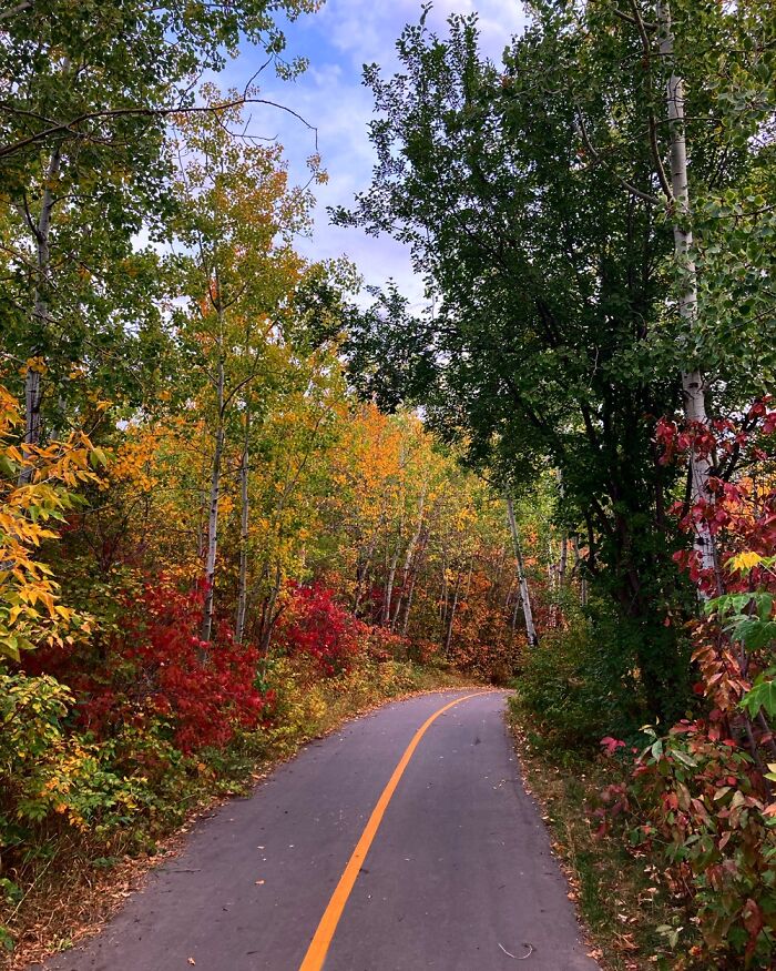 September 2022 At Our Favorite Dog Park