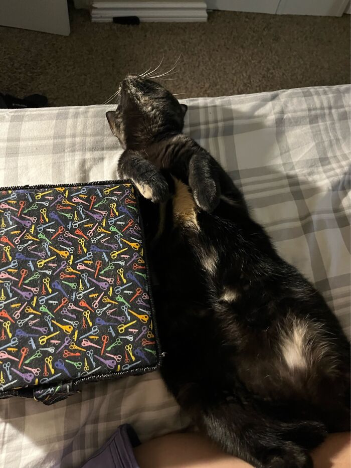 We Call Her Butter Belly