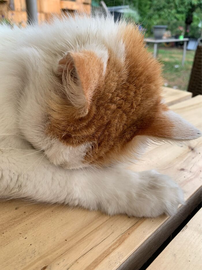 Oh No! Not You Again!