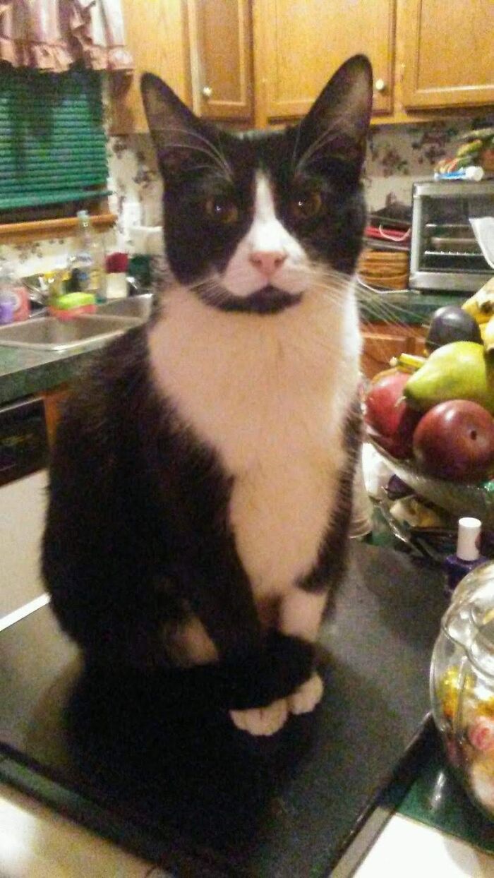 My Beautiful Boy, Sammy