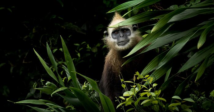 The Winning Photos Of The Contest “Nature” By AAP Magazine Have Just Been Announced, And Here Are The Best 24 Pics