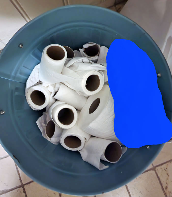 A Friend's Family Never Use Up Their Toilet Rolls
