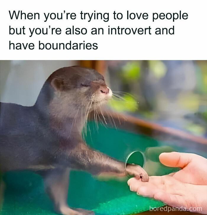 Dating-Around-As-Introvert-Memes