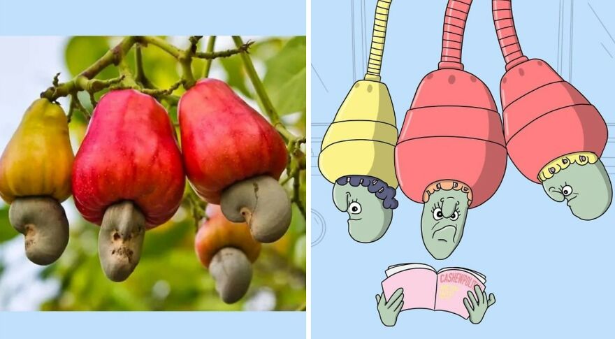 This Artist Sees Faces In Everything And Turns Them Into Fun Illustrations ( 20 New Pics) Interview