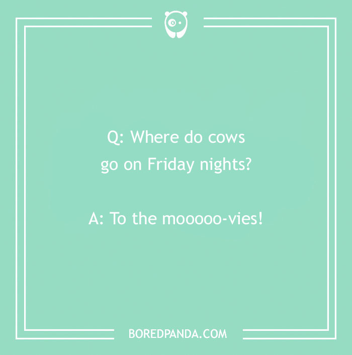 130 Jokes For 5YearOlds To Make Your Kids Snort Bored Panda