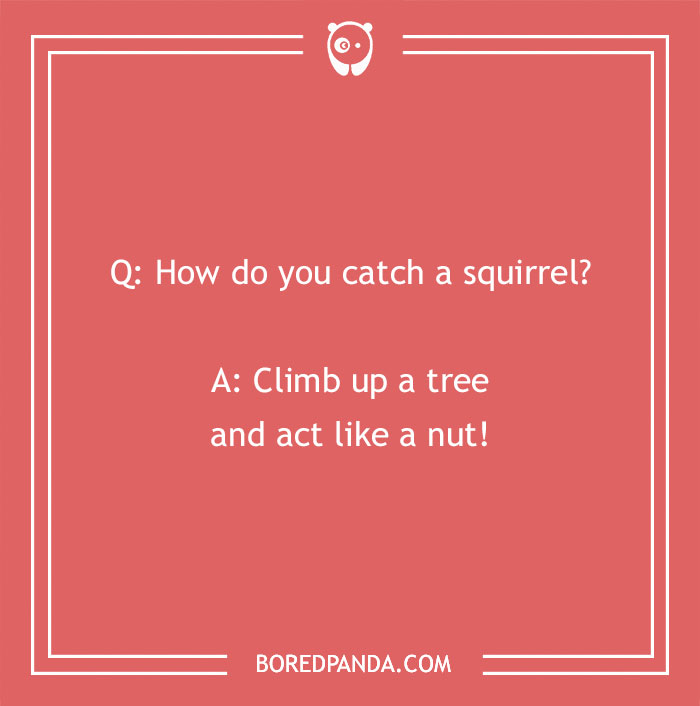 Joke for 5 year olds about squirrel