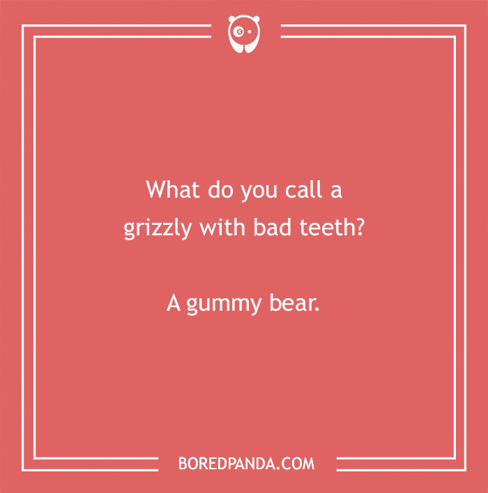 Jokes for teens about grizzly