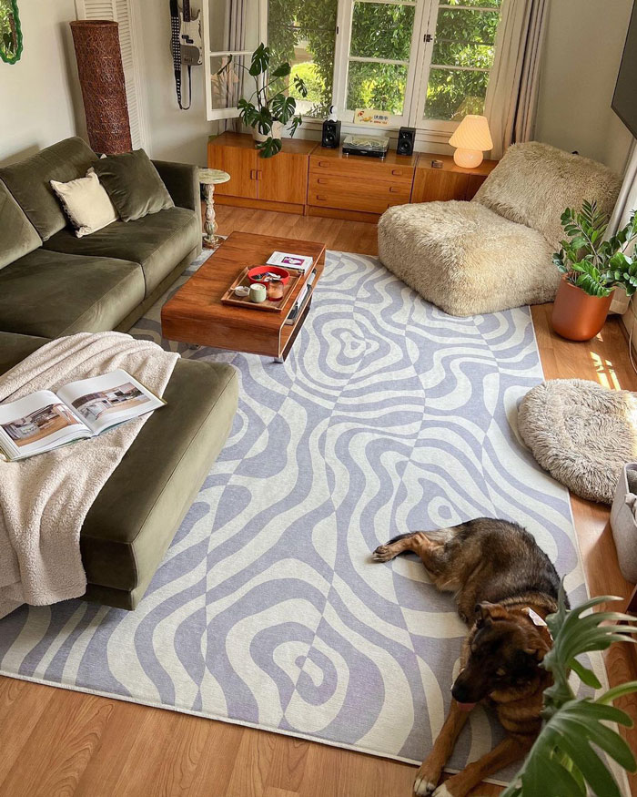 Living space with blue and white patterned rug, velvet couch and armchair