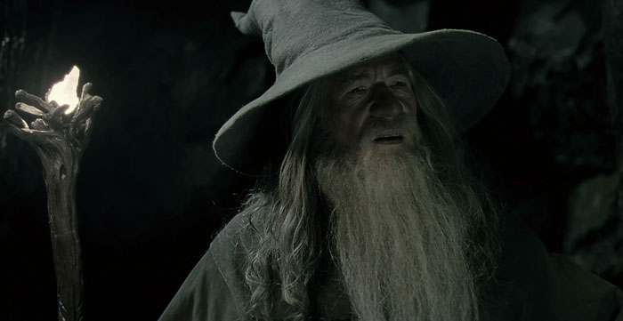 Gandalf in the hat with the staff in his hand