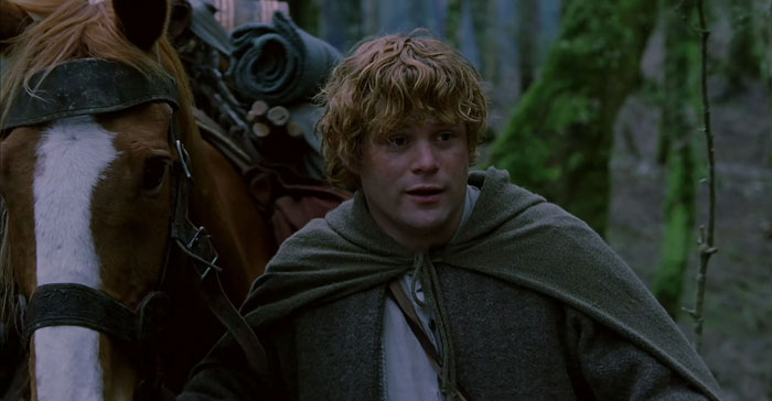 Sam Gamgee staying with a horse in the forest