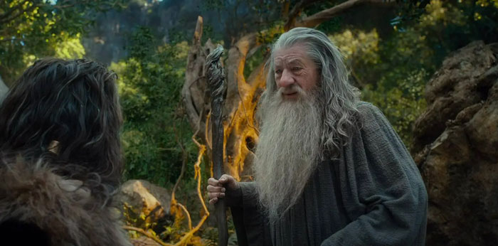Gandalf speaking in the forest